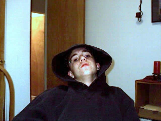 viris2.jpg